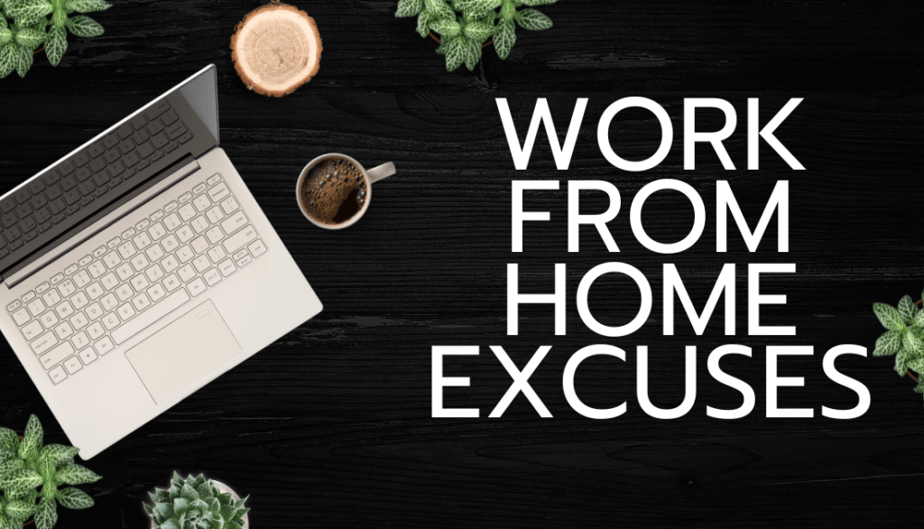 Work from Home excuses